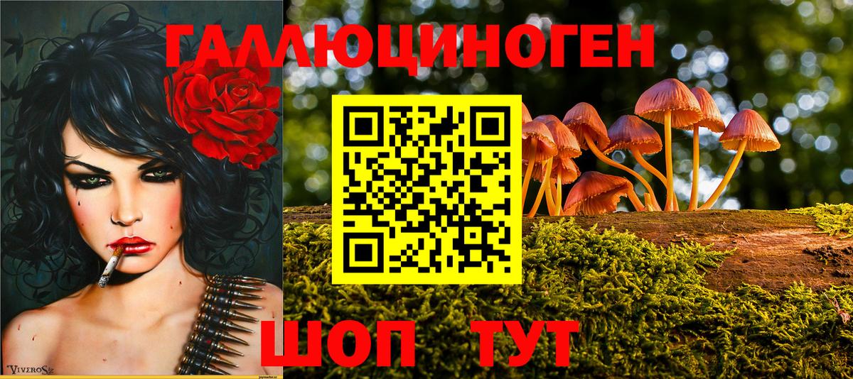Галлюциногенные грибы MAGIC MUSHROOMS Темрюк