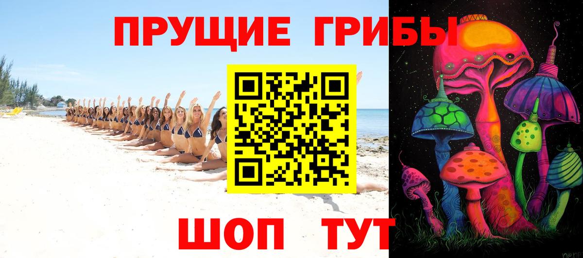 Галлюциногенные грибы MAGIC MUSHROOMS  Вход с VPN  где можно купить наркотик  Темрюк 